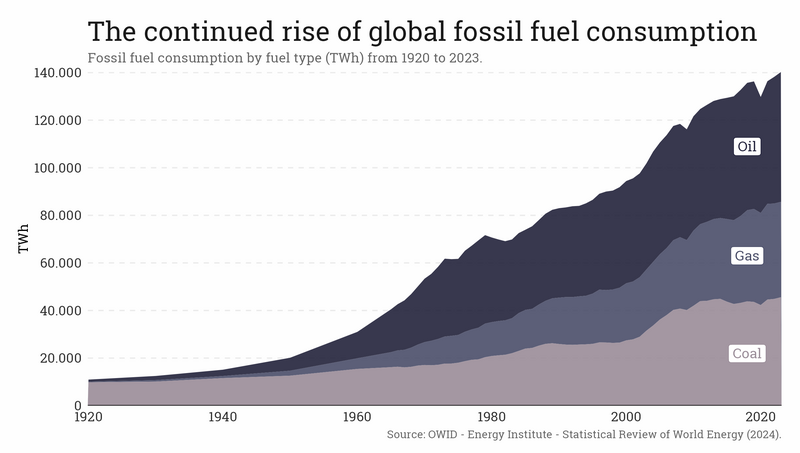 Fossils